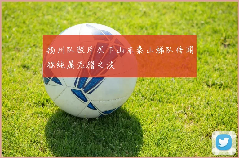 扬州队驳斥买下山东泰山梯队传闻称纯属无稽之谈