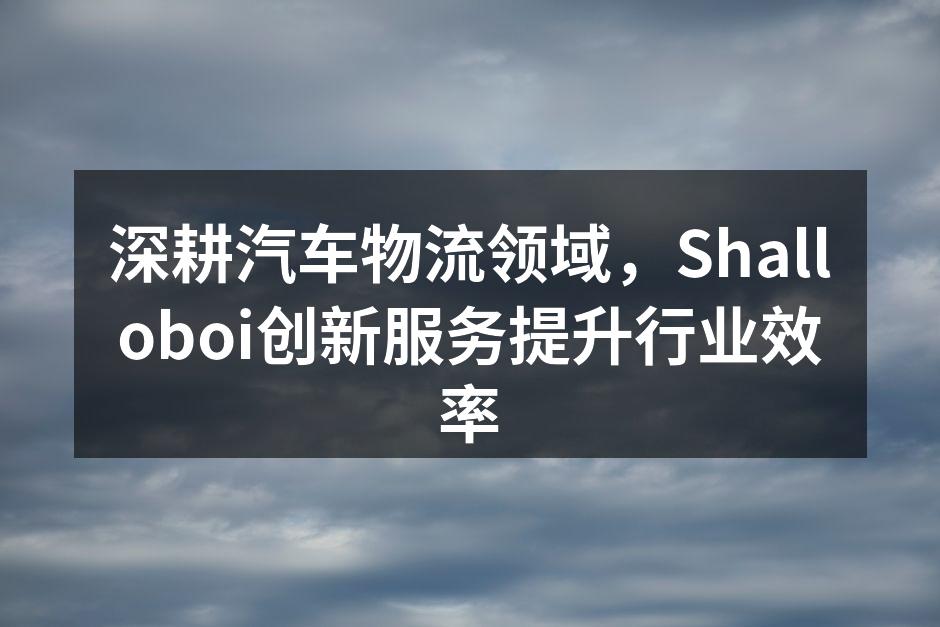 Shalloboi团队在会议中探讨物流创新