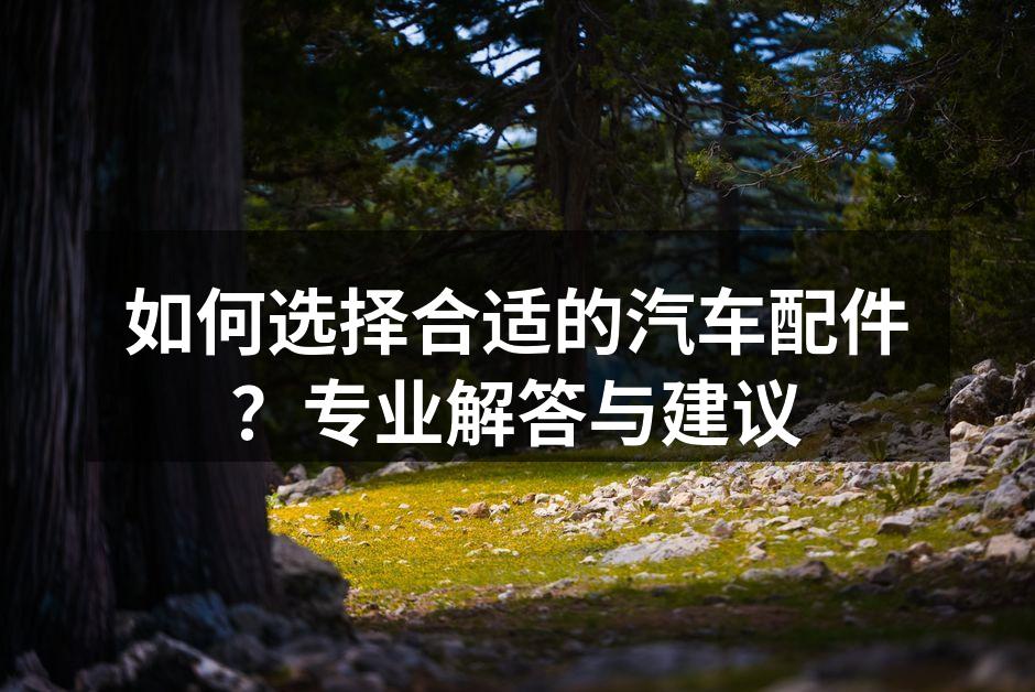 汽车配件选择指南